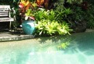 Timbarra NSWswimming-pool-landscaping-3.jpg; ?>